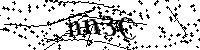 Si prega di digitare le lettere e i numeri qui sotto